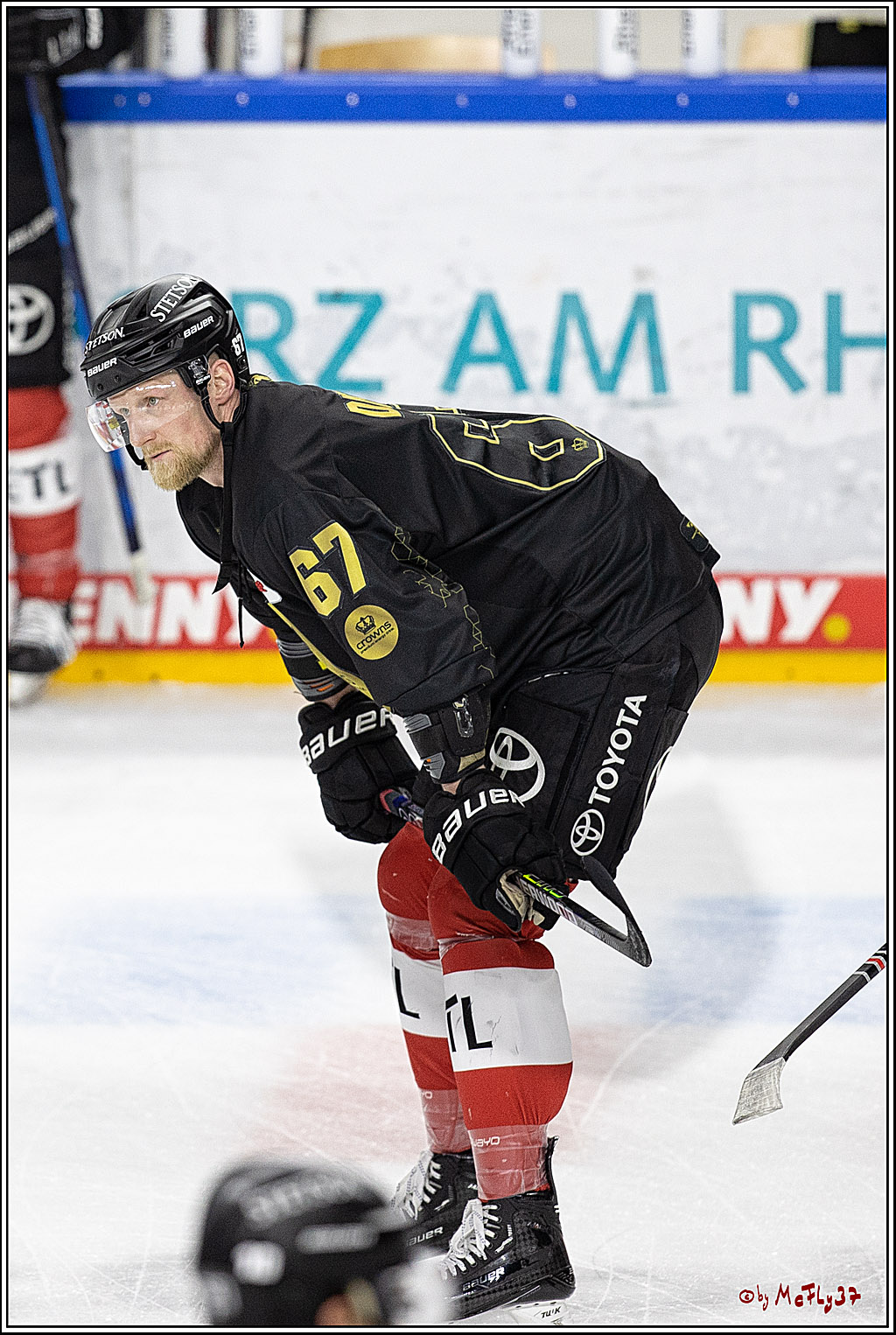 PENNY DEL;  Koelner Haie - Duesseldorfer EG; Koeln, 02.01.2023
